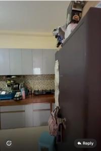 Kitchen Image of 850 Sq.ft 1 BHK Apartment / Flat for rent in Sector 14 Dwarka New Delhi for Rs. 35000