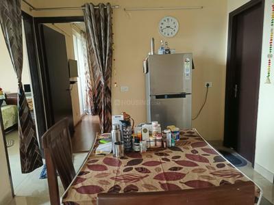 Image of Tina Sinha in Noida Extension, Greater Noida