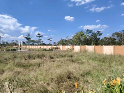 Residential Plot