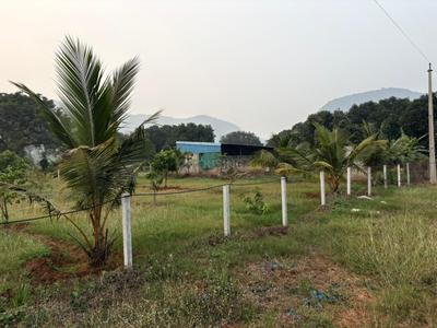 Image of 4356 Sq.ft Residential Plot / Land for sale in Nunna, Vijayawada for Rs. 1750000