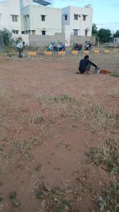 Royal colony Plot View 1