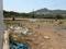 Somatane Plot View 2