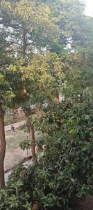 Balcony Image of 1100 Sq.ft 3 BHK Apartment / Flat for sale in MDC Sector 4 Panchkula for Rs. 11500000