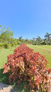 Image of 1000 Sq.ft Residential Plot / Land for sale in Kamal Vihar, Raipur for Rs. 3000000