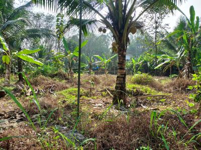 Image of 8712 Sq.ft Residential Plot / Land for sale in Shenoys, Kochi for Rs. 4612500