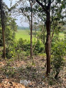 Image of 525 Sq.ft Residential Plot / Land for sale in Tivim, Goa for Rs. 16800000