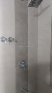 Image of 1175 Sq.ft 2 BHK Apartment / Flat for rent in Pristine Prolife, Wakad, Pune for Rs. 32000
