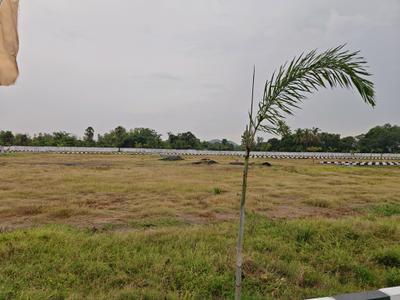 Image of 759 Sq.ft Residential Plot / Land for sale in Singaperumal Koil, Chennai for Rs. 1517241