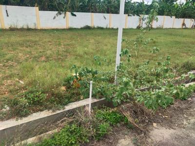 Image of 1605 Sq.ft Residential Plot / Land for sale in Kovilpalayam, Coimbatore for Rs. 4650000