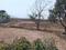 Vindhane Plot View 2