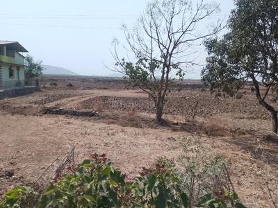 Vindhane Plot View 2