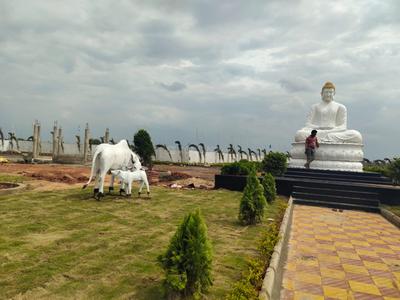 Residential Plot