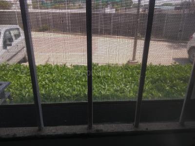 3 BHK Independent Builder Floor
