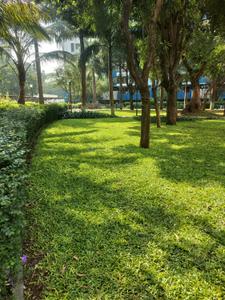 Image of 585 Sq.ft 1 BHK Apartment / Flat for sale in Nanded Mangal Bhairav, Nanded, Pune for Rs. 5700000