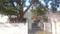 Housing Borad Colony More Images 2