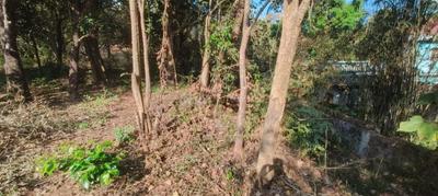 Image of 2450 Sq.ft Residential Plot / Land for sale in Colvale, Goa for Rs. 61300000