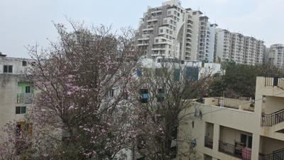 Image of 950 Sq.ft 2 BHK Builder Floor for rent in Electronic City, Bengaluru for Rs. 18000