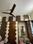 BDD Chawls Worli, Worli Bedroom 1