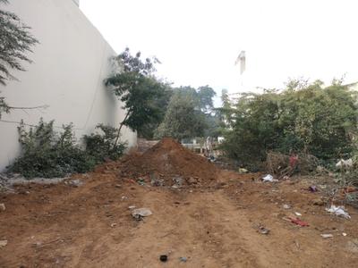 Sector 31 Plot View 1