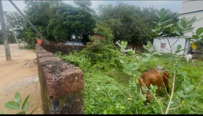 Shankarpur Plot View 2