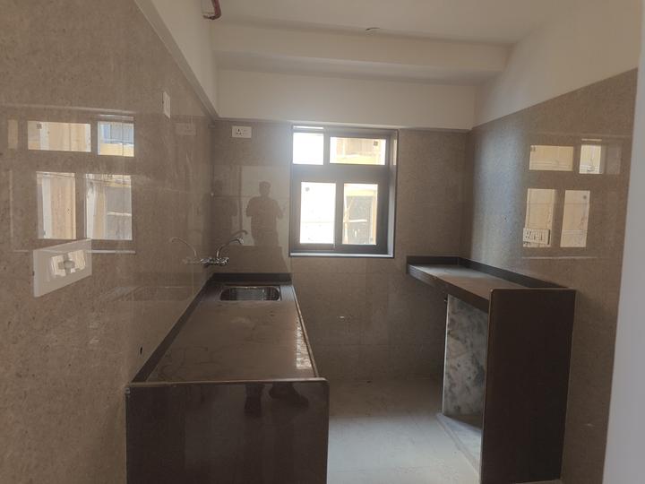 Sayba Orchid Main Image 1