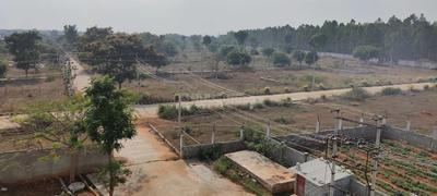 Residential Plot