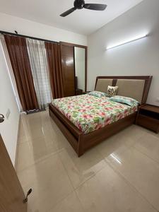 Image of Real and Original PG in Sector 62, Noida