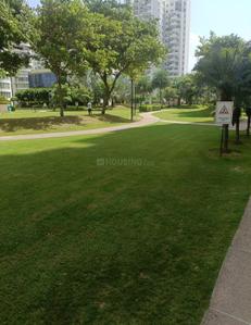 Image of 2200 Sq.ft 3 BHK Apartment / Flat for sale in Emaar MGF The Palm Drive, Sector 66, Gurgaon for Rs. 45000000
