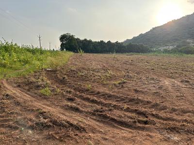 Image of 1697 Sq.ft Residential Plot / Land for sale in Mothadaka, Guntur for Rs. 4209000