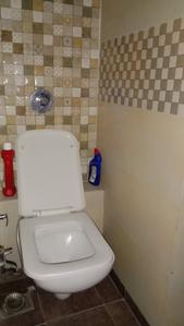Bathroom Image of Girls pg in Worli, Mumbai