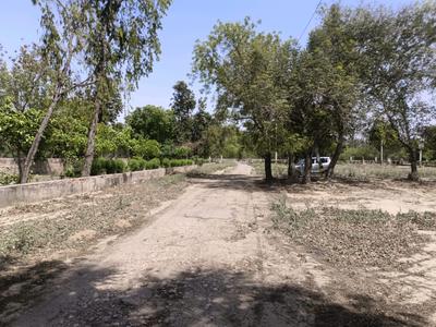 Residential Plot