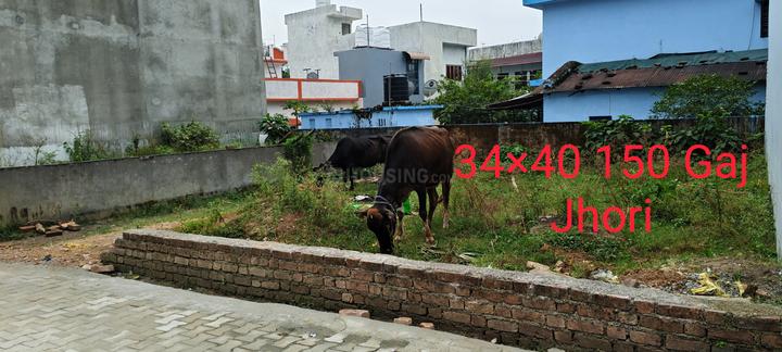 Malsi Main Image 1