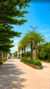 Image of 1200 Sq.ft Residential Plot / Land for sale in Pirda-2, Raipur for Rs. 4380000