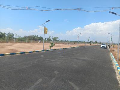 AIIMS NAGAR Plot View 3