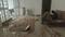 Ideal Colony Living Room 1