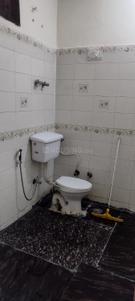 Bathroom Image of 1292 Sq.ft 2 BHK Builder Floor for rent in Sector Xu 1 Greater Noida for Rs. 15000