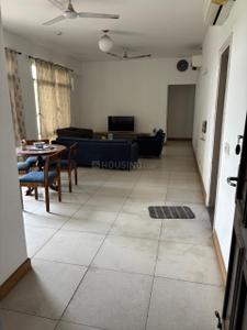 Hall Image of 650 Sq.ft 1 BHK Apartment / Flat for rent in SDS NRI Residency, Omega II Greater Noida for Rs. 20000