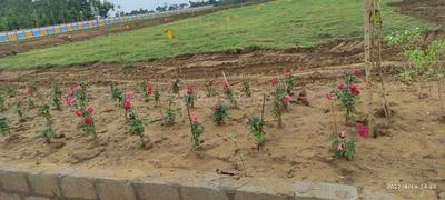 Image of 183 Sq.ft Residential Plot / Land for sale in Bhogapuram, Vizianagaram for Rs. 2933000