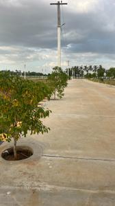 Image of 1750 Sq.ft Residential Plot / Land for sale in Karumandapam, Tiruchirappalli for Rs. 5238000