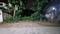 New Palam Vihar Phase 1, Sector 110 Main Image 1