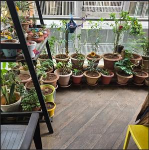 Balcony Image of 997 Sq.ft 2 BHK Apartment / Flat for sale in Wellwisher Kiarah Terrazo, Hadapsar Pune for Rs. 8200000