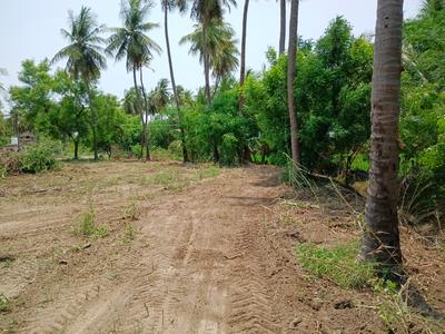 KPM nagar Plot View 2