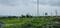 Residential 4446 Sqft Plot for sale at Shinde, | Property ID - 12491753