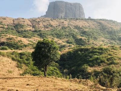 Image of 10764 Sq.ft Residential Plot / Land for sale in Asha Bramha Greens, Trimbak, Nashik for Rs. 4151000