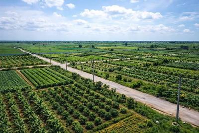 Image of 800 Sq.ft Residential Plot / Land for sale in Sampangi Rama Nagar, Bengaluru for Rs. 1439200