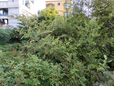 Image of 1432 Sq.ft Residential Plot / Land for sale in Kattupakkam, Chennai for Rs. 12998000