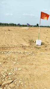 Oasis Farm Plot View 2