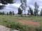Telecom aero city Plot View 2