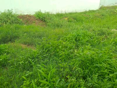 Image of 162 Sq.ft Residential Plot / Land for sale in Satya Merano Greens, Sector 99A, Gurgaon for Rs. 25500000