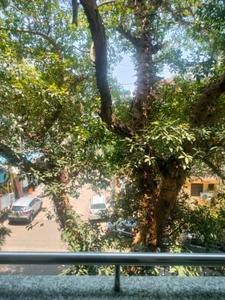 Balcony Image of 1600 Sq.ft 3 BHK Apartment / Flat for rent in Laxmi Keshav Aashraya, Laxminagar Nagpur for Rs. 35000
